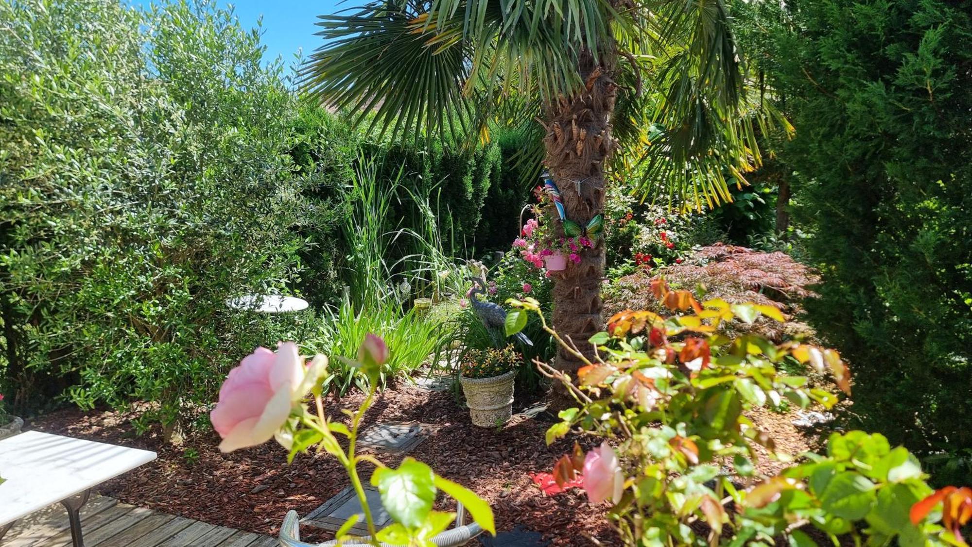 Studio Mil Roses Andé Exterior photo